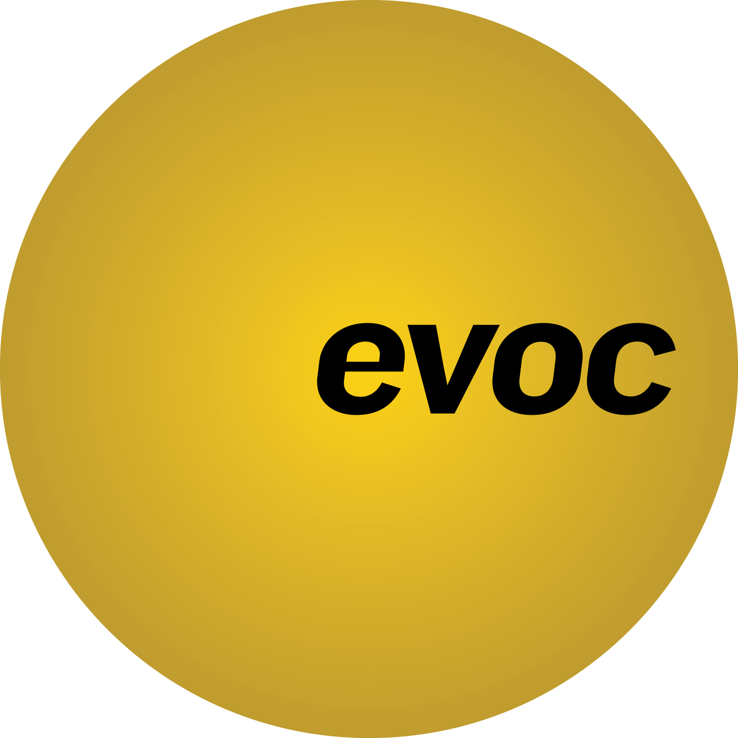 EVOC Projetos
